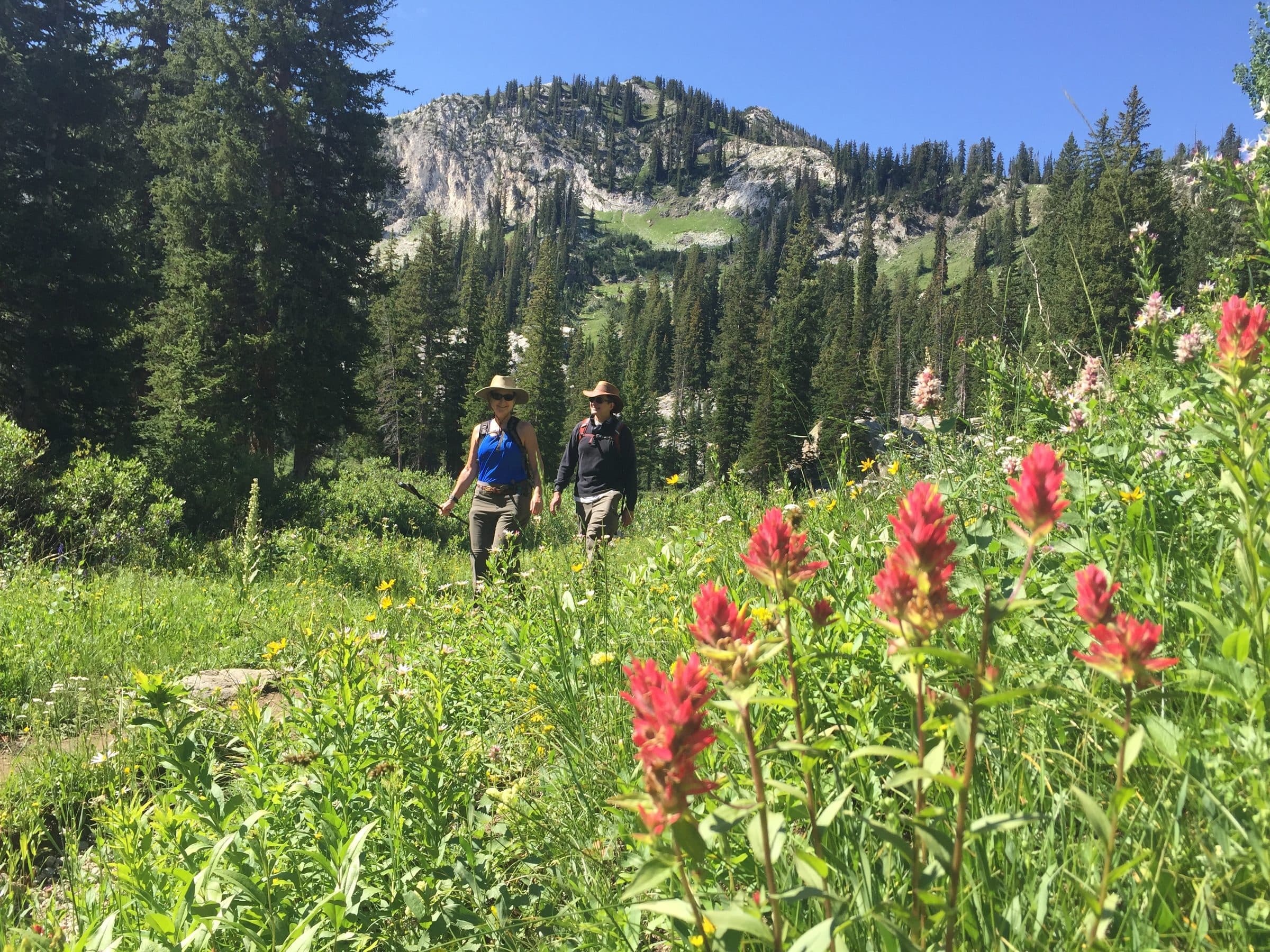 Guided Hikes