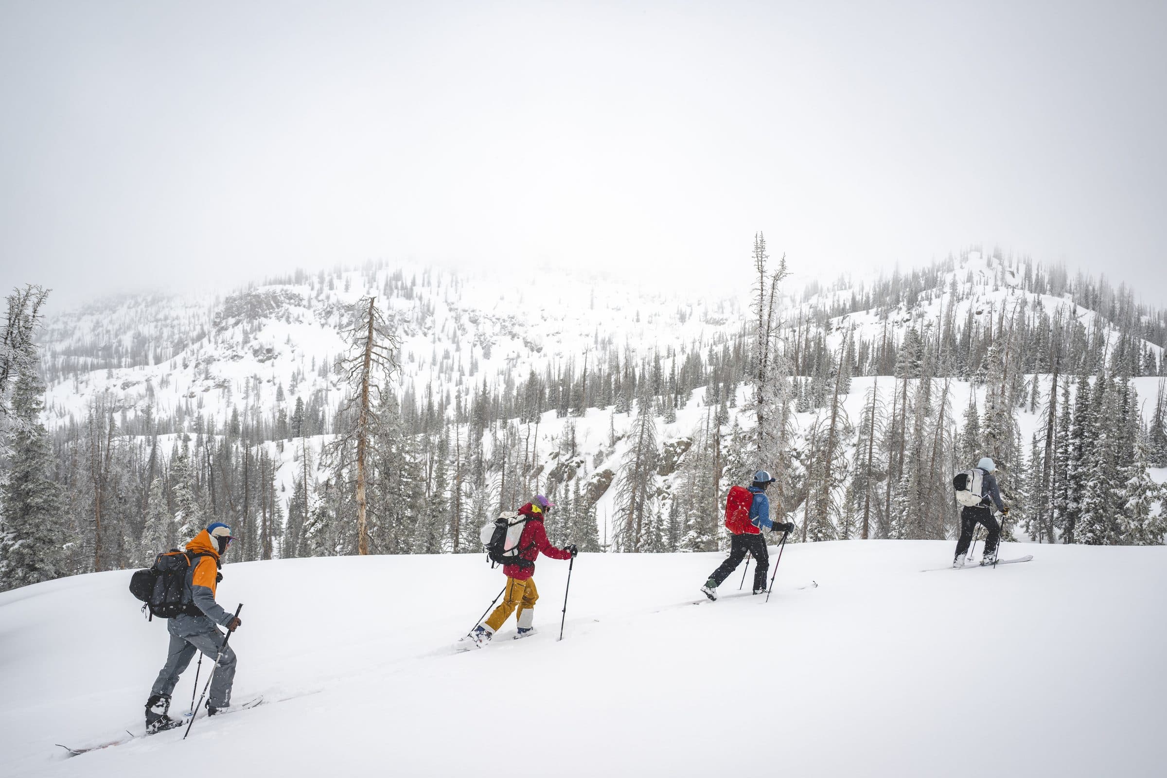 Guided Backcountry Skiing